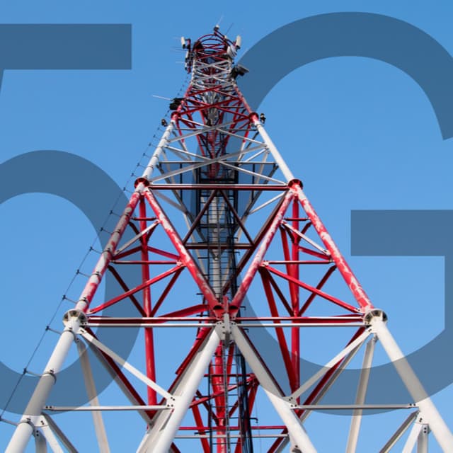 5G ਨਾਲ ਹੋ ਰਹੀਆਂ ਮੱਝਾਂ ਬਿਮਾਰ!!