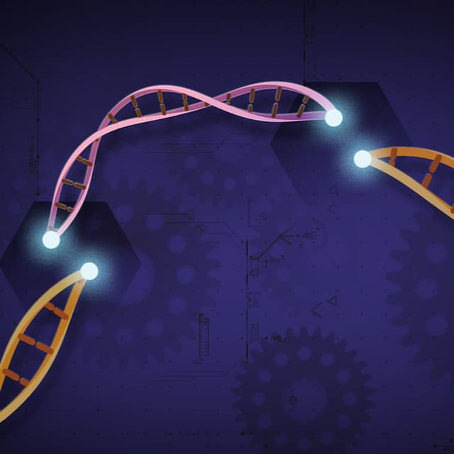 Crispr ਅਤੇ AI - ਕਿਵੇਂ ਇਹ ਸਾਡੇ ਆਉਣ ਵਾਲੇ ਭਵਿੱਖ ਨੂੰ ਬਦਲ ਰਹੇ ਹਨ।